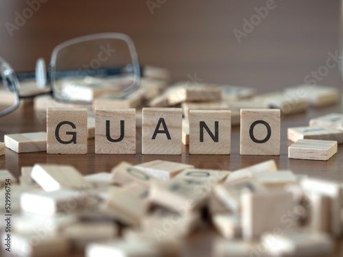 guano word or concept represented by wooden letter tiles on a wooden table with glasses and a book