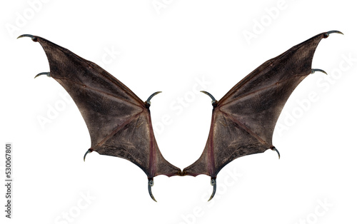 devil wings isolated on white.