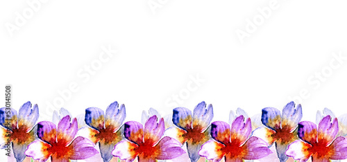 Banner con fiori viola e lilla in primo piano, illustrazione isolata su sfondo bianco