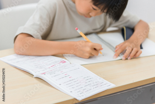 算数の勉強をする小学生（日本人） 
