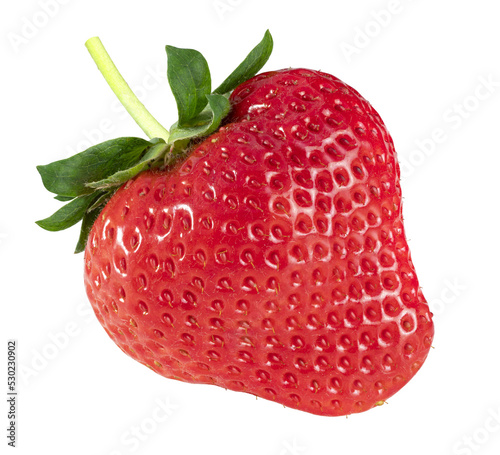 Red Strawberries isolated on white background, Fresh long stem berries, Organic Strawberry isolated on white background With clipping path.