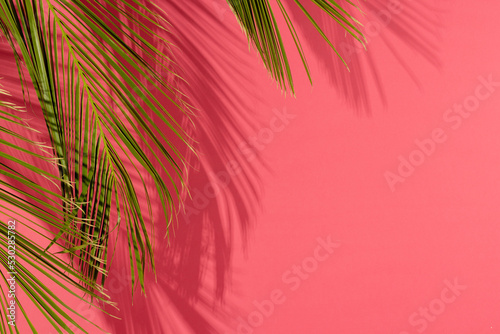 Composition of green lush leaves with copy space on pink background