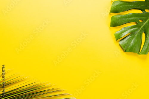 Composition of green lush leaves with copy space on yellow background