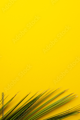 Composition of green lush leaves with copy space on yellow background
