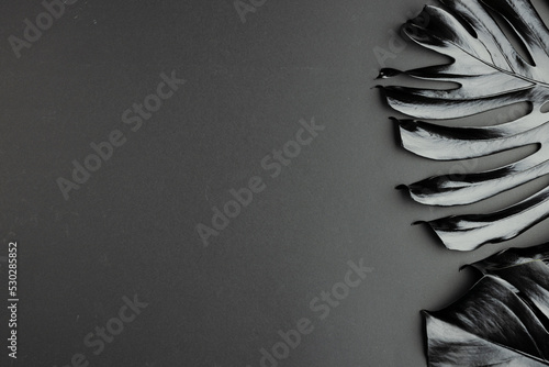 Composition of black lush leaves with copy space on gray background