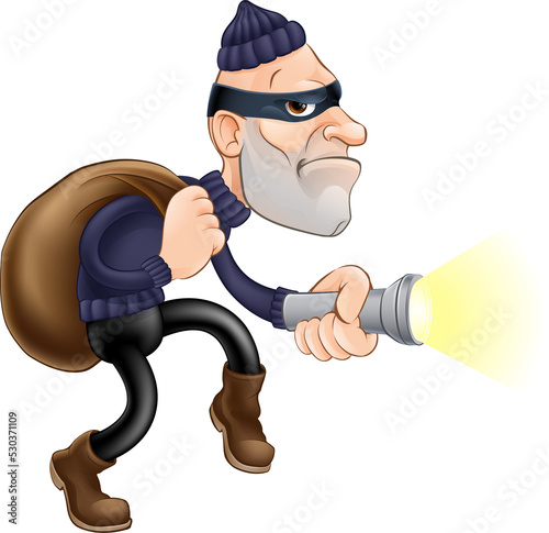 Thief or burglar