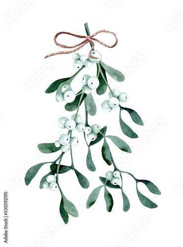 Mistletoe or Viscum branches with leaves and berries bunch. Watercolor hand drawn illustration, isolated on white background