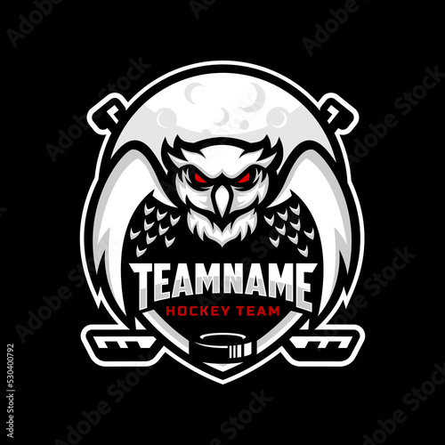 Owl and moon logo for the ice hockey team logo. vector illustration. With a combination of shields badge, puck and ice hockey stick