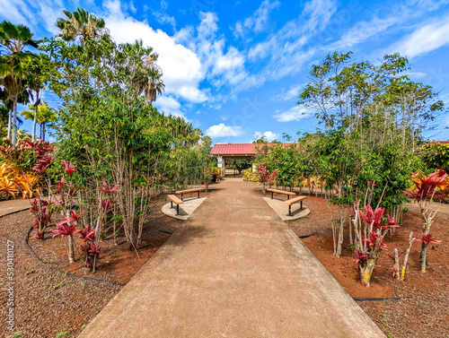Dole pineapple plantation in Wahiawa, Oahu, Hawaii, USA