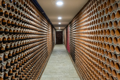 Straight lines of wine racks made of brickstone for bottles archive with wooden door at the end. Bela Krajina, Slovenija