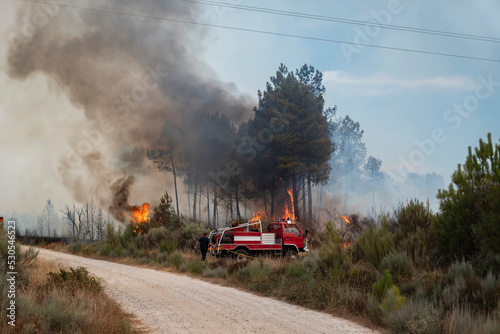 Bombeiros florestais a combater um incêndio florestal junto à sua viatura em Portugal