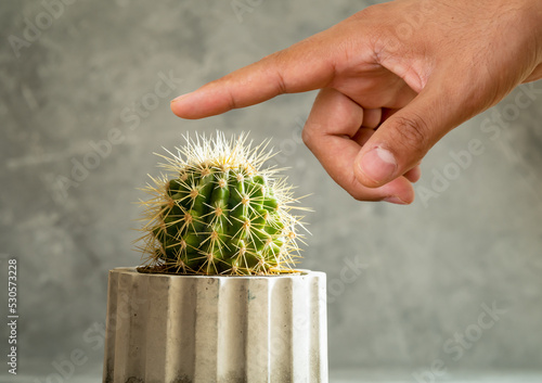 Close up photo of finger touching cactus needle. Concept of tactile or touch sense. As a symbol of masochism.