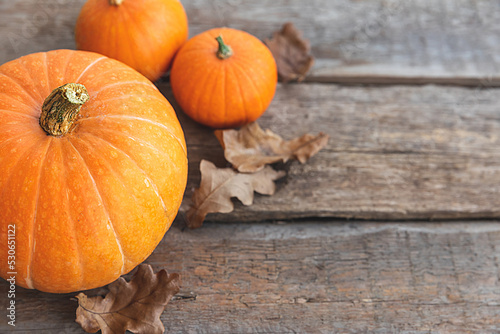 Autumnal Background. Natural autumn fall view pumpkins on wooden background. Inspirational october or september wallpaper. Change of seasons ripe organic food concept, Halloween party Thanksgiving day