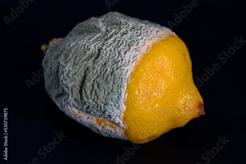 Citron moisi moldy lemon