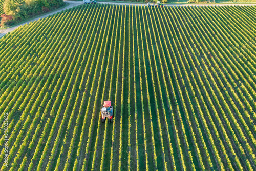 View from above of a vineyard in the Rheingau/Germany with a harvesting machine in action