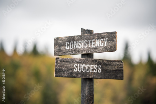 vintage and rustic wooden signpost with the weathered text quote consistency success, outdoors in nature. blurred out forest fall colors in the background.