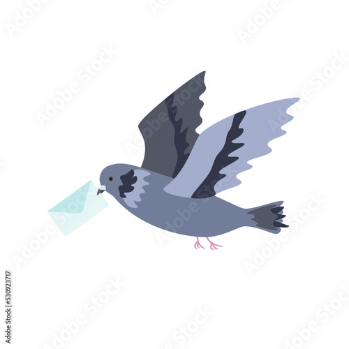 Bird pigeon vector illustration. Carrier pigeon with a letter vector illustration.