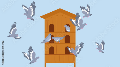 pigeons fly near the dovecote