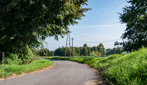 asfaltowa droga pośród traw i drzew, krajobraz wiejski w rejonie zachodniej polski a w tle zielone drzewa błękitne niebo z umiarkowanym zachmurzeniem