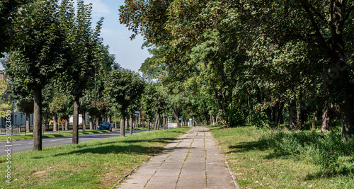 Chodnik ciągnący się przez park o letniej porze w obszarach podmiejskich zachodniej Polski