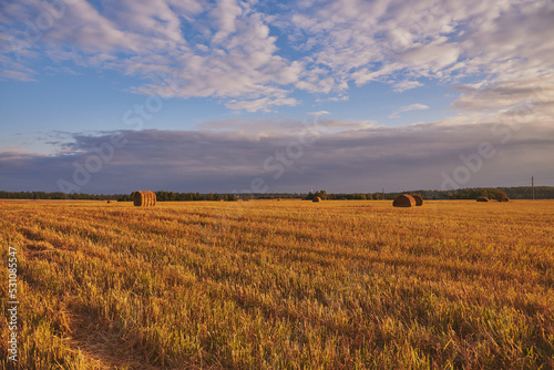 A mown field with haystacks under a sky at sunset.