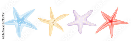 Collection of various sea shells, echinoderms. Cartoon vector graphics.
