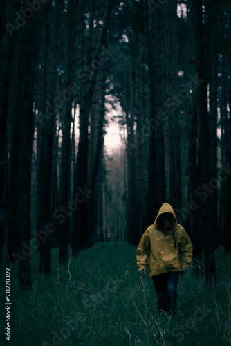 Postać w mrocznym lesie