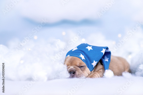 Sleepy French Bulldog puppy with nightcap lying between fluffy clouds and stars