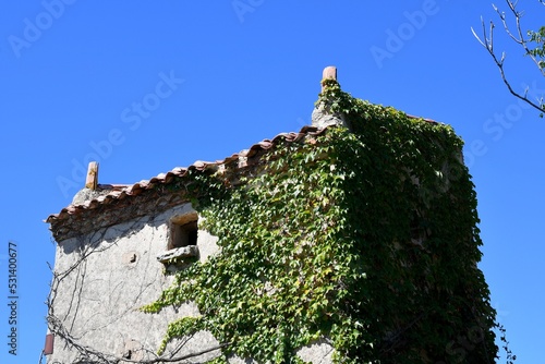 Façade d'une maison ancienne avec son pigeonnier et ses murs recouverts de vigne dans un petit village du puy de dome