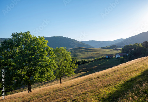 early morning landscape of vosges with farm and fields in low sunlight in summer under blue sky