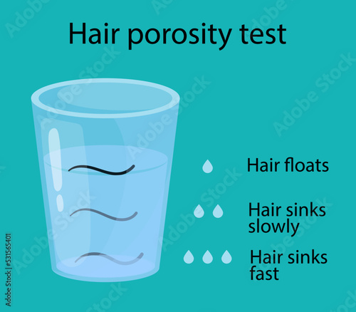 hair porosity test. Hair floats in a glass of water. cartoon style illustration