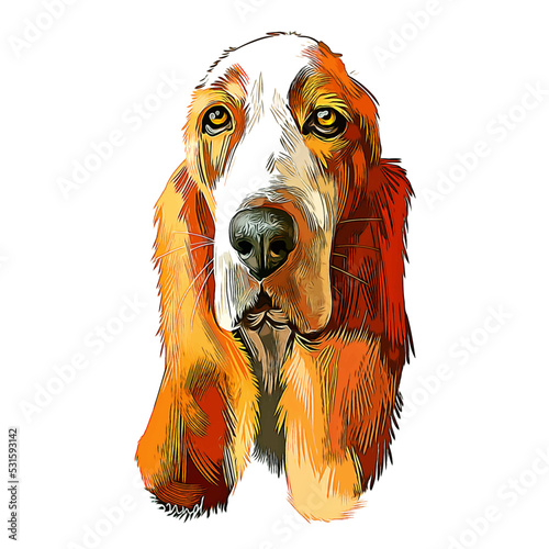 Basset Hound Dog Breed Watercolor Sketch Hand Drawn Painting Silhouette Sticker Illustration Sublimation EPS Vector Graphic