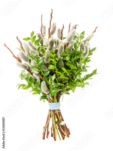 Traditional pussy willow bunch for Palm Sunday