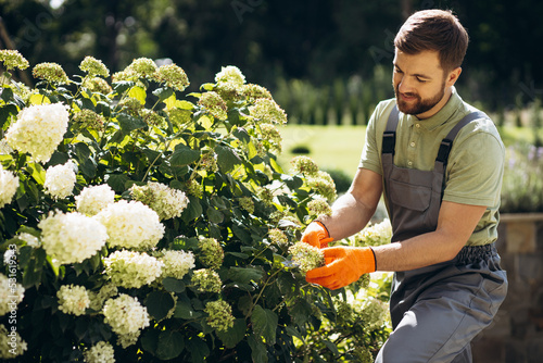 Garden worker trimming flower bushes with garden scissors