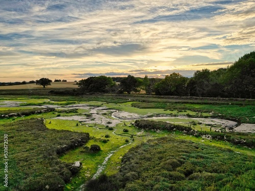 Cloudscape over Levington lagoon nature reserve at low tide