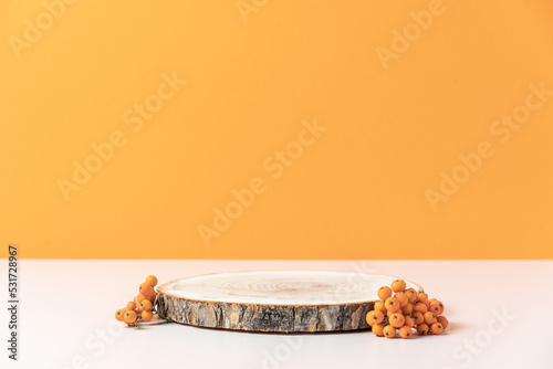 Wooden cut podium on orange background with autumn rowan berries. Concept scene stage showcase, product, promotion sale, presentation, beauty cosmetic