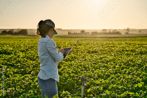 Smart farmer woman agronomist checks the field with tablet. Inteligent agriculture and digital agriculture.