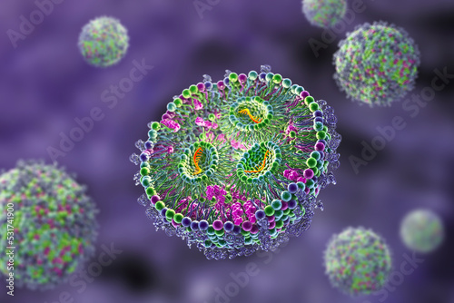 Lipid nanoparticle mRNA vaccine