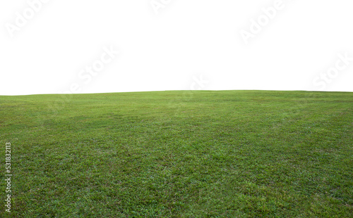 Green grass field background