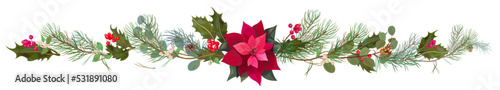 Panoramic view with red poinsettia flower (New Year Star), pine branches, cones, holly berry. Horizontal border for Christmas on white background. Realistic illustration in watercolor style. Vector