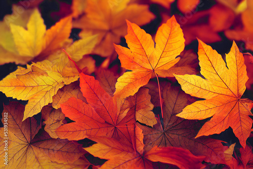 Red autumn maple leaves laying on the forest ground