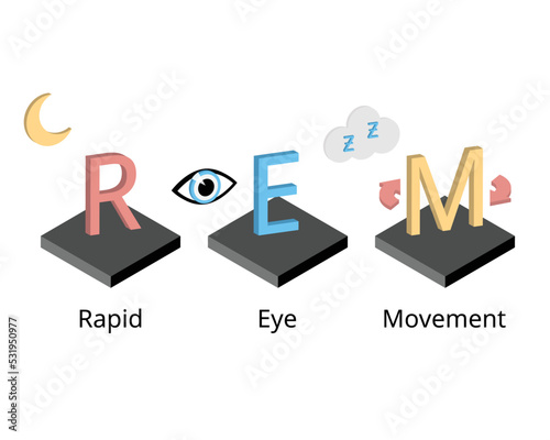 REM or rapid eye movement in sleep circle which is the sleep stage that make you dream