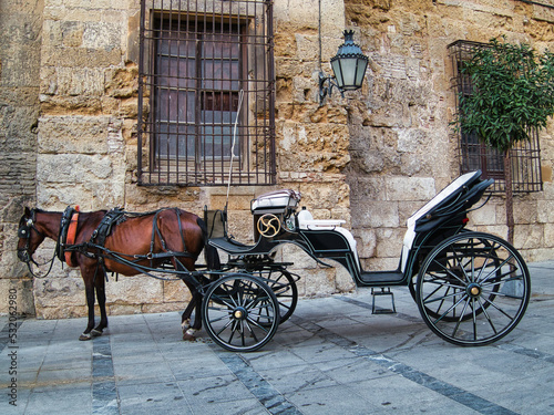 horse drawn carriage in the old town