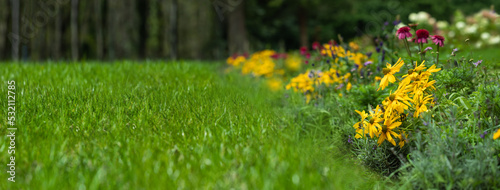 trawnik i łąka kwietna z bylin, rudbekie, jeżówki, przetacznik, flower meadow and lawn
