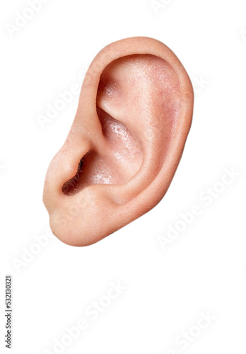 close up of a human ear