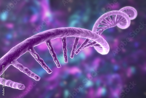 Molecule of mRNA, 3D illustration