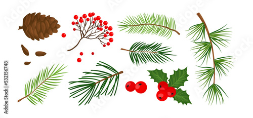 Christmas vector plant, pine cone, branch spruce and fir, evergreen tree, holly berry, rowan isolated on white background. Cartoon holiday nature illustration