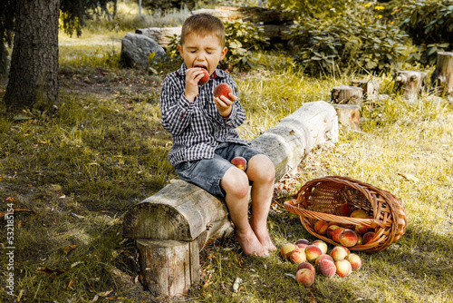 Dziecko zjada brzoskwinie, owoce zerwane z drzewa, zdrowe, naturalne, ekologiczne jedzenie