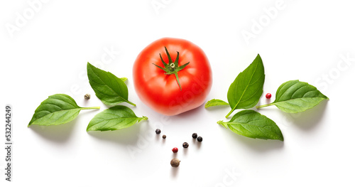 Spices, basil herbs and tomato on white background. Design for Food blog or banner