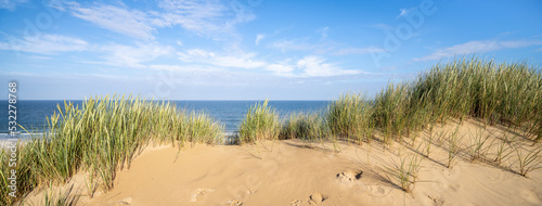 Dune landscape panorama along the sea